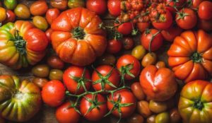 ﻿“Ingredients / The secrets of Italian Cuisine” SERIES POMODORO - TOMATO